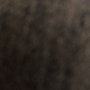 Meet your Posher, Cecilia